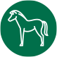 Equinos - Arenales Homeopatia Animal